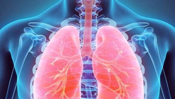 TB Services TB Services